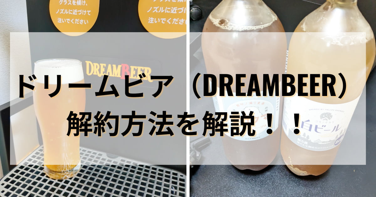 送料込み】DREAMBEER ドリームビア クラフトビール2本セット